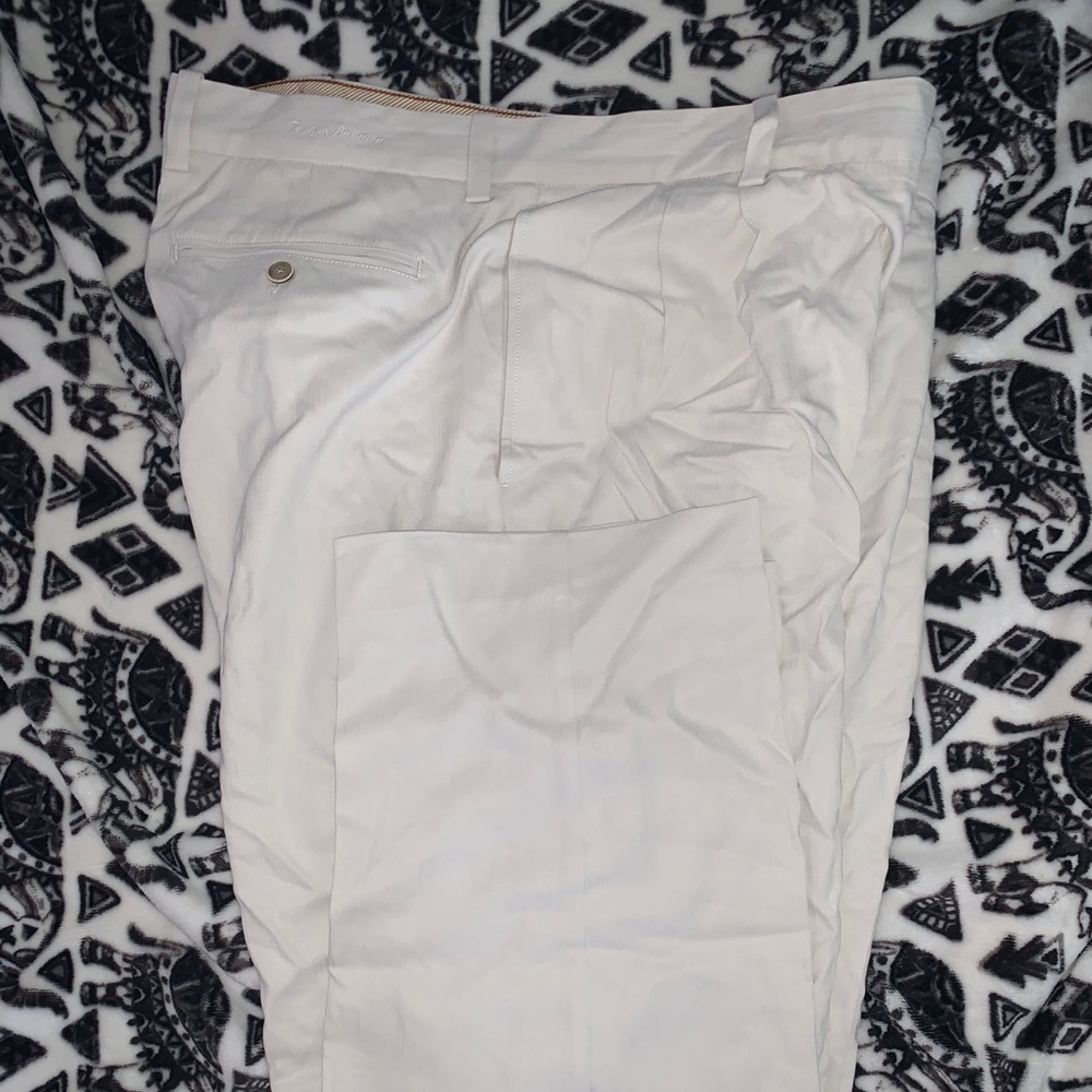 Tommy Bahama pants